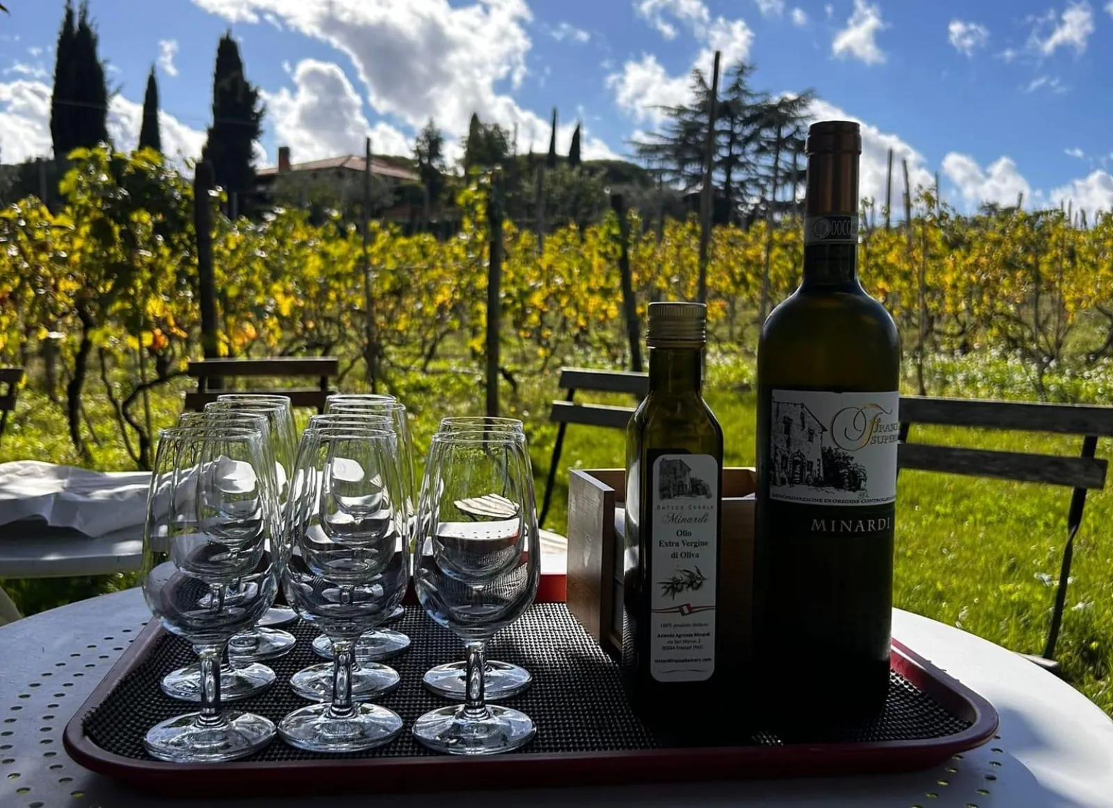 Tasting tray of wine glasses and bottles on a table among vineyard rows