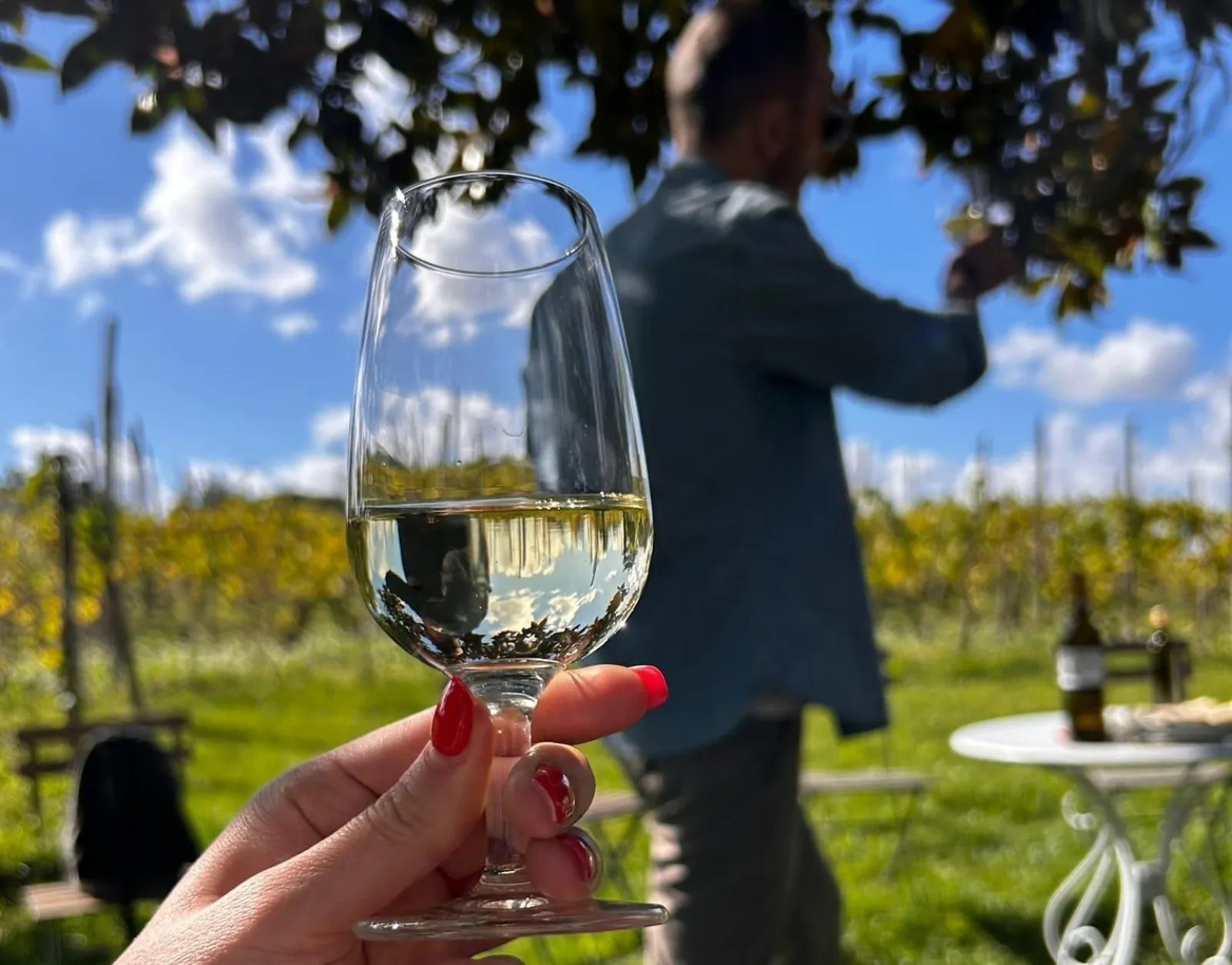 Hand holding a glass of white wine in a vineyard, with a man sipping behind
