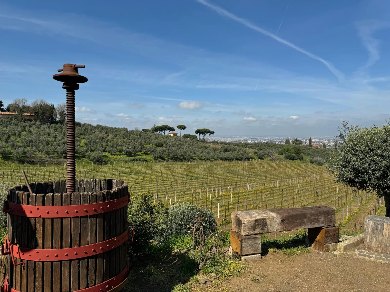 Old wooden wine press beside a bench with vineyards and olive trees under blue sky