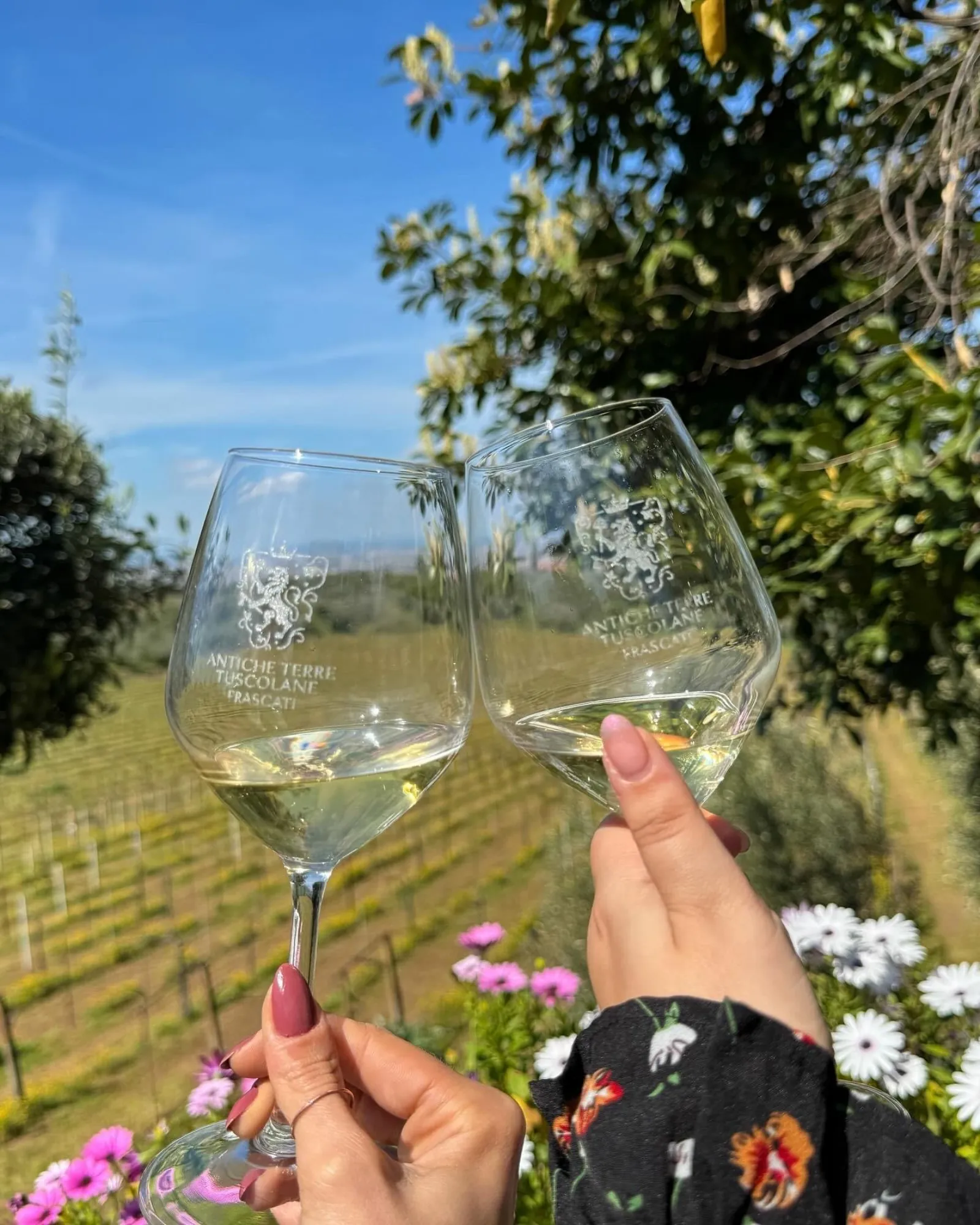 Two hands clinking glasses of white wine in front of vineyards and daisies