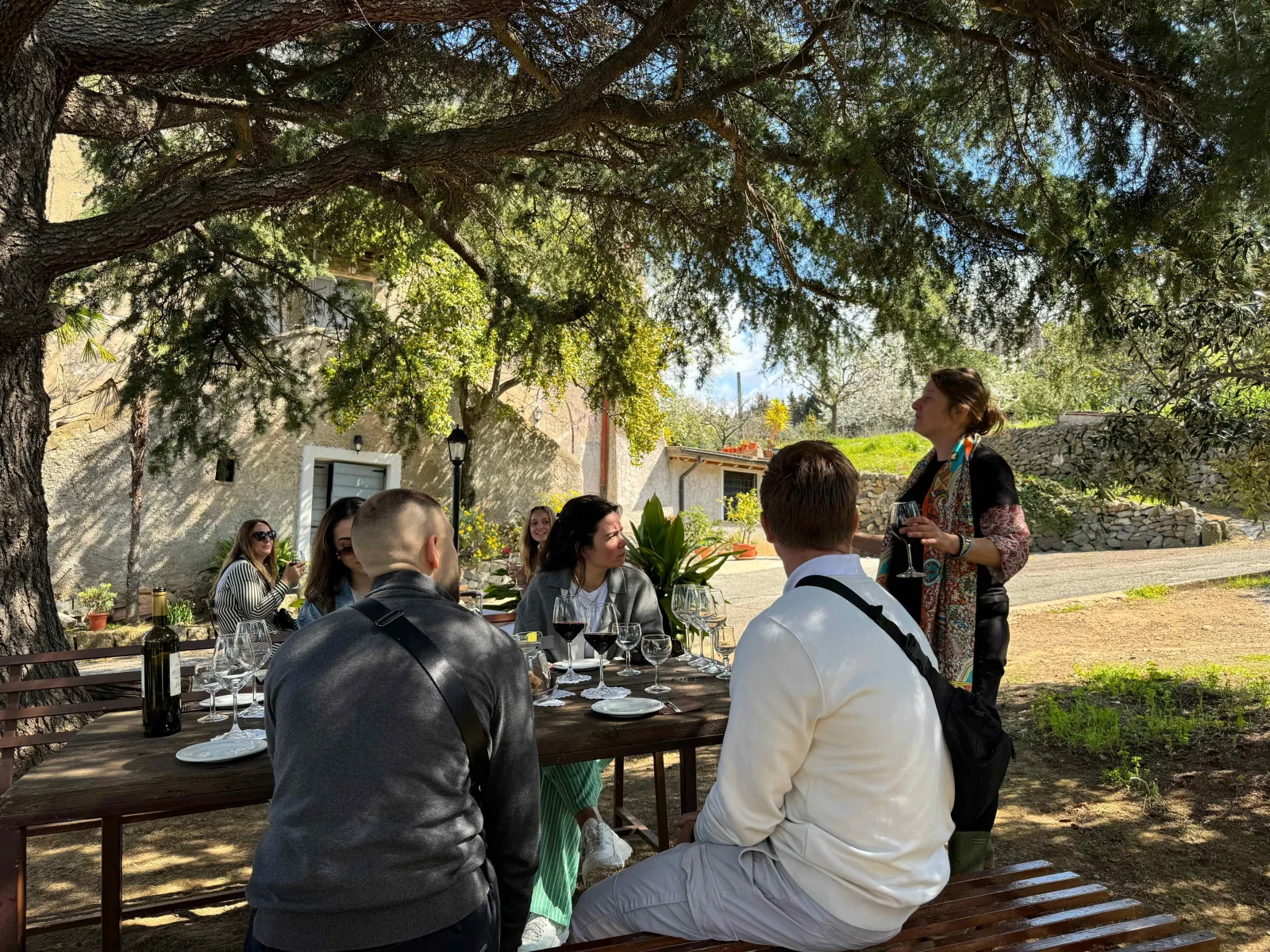 Guests at an outdoor table under a large tree as a guide speaks