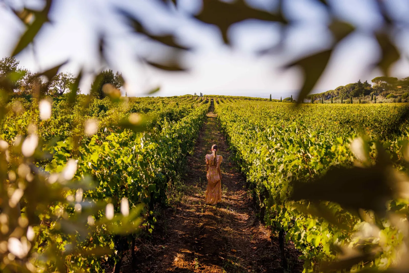 Woman in a long dress walking down a green vineyard row framed by leaves