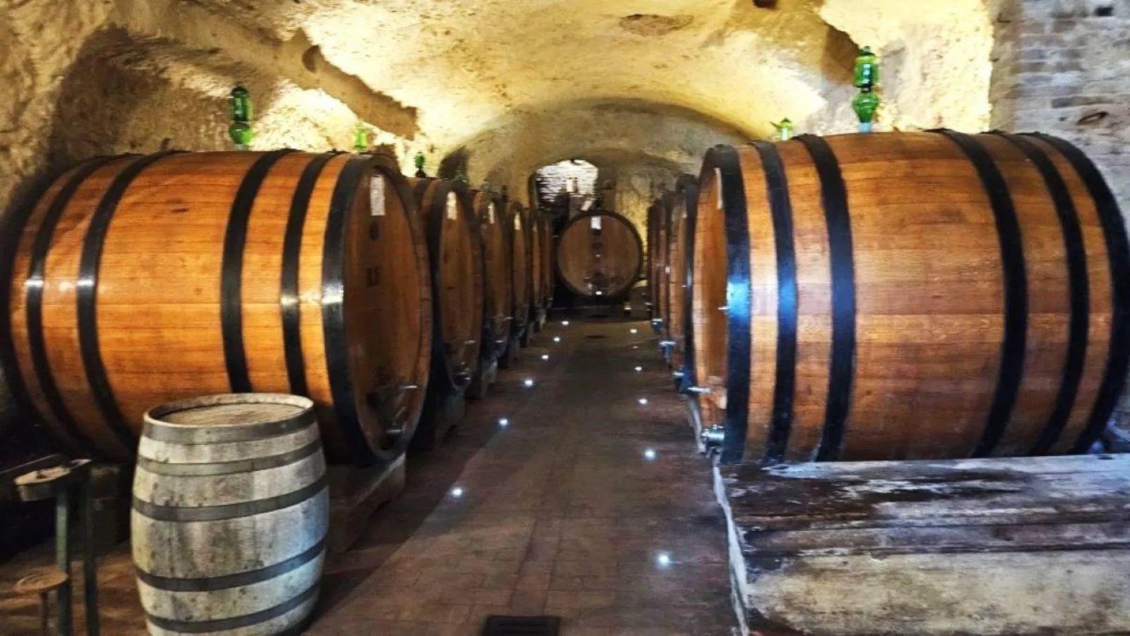 Rows of large oak barrels along a lit underground cellar corridor