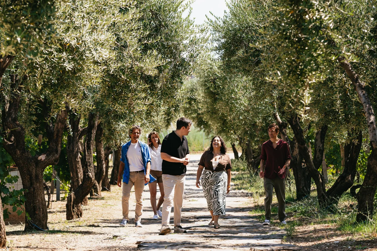 Rome Countryside: Wine Tasting Tour with Private Driver