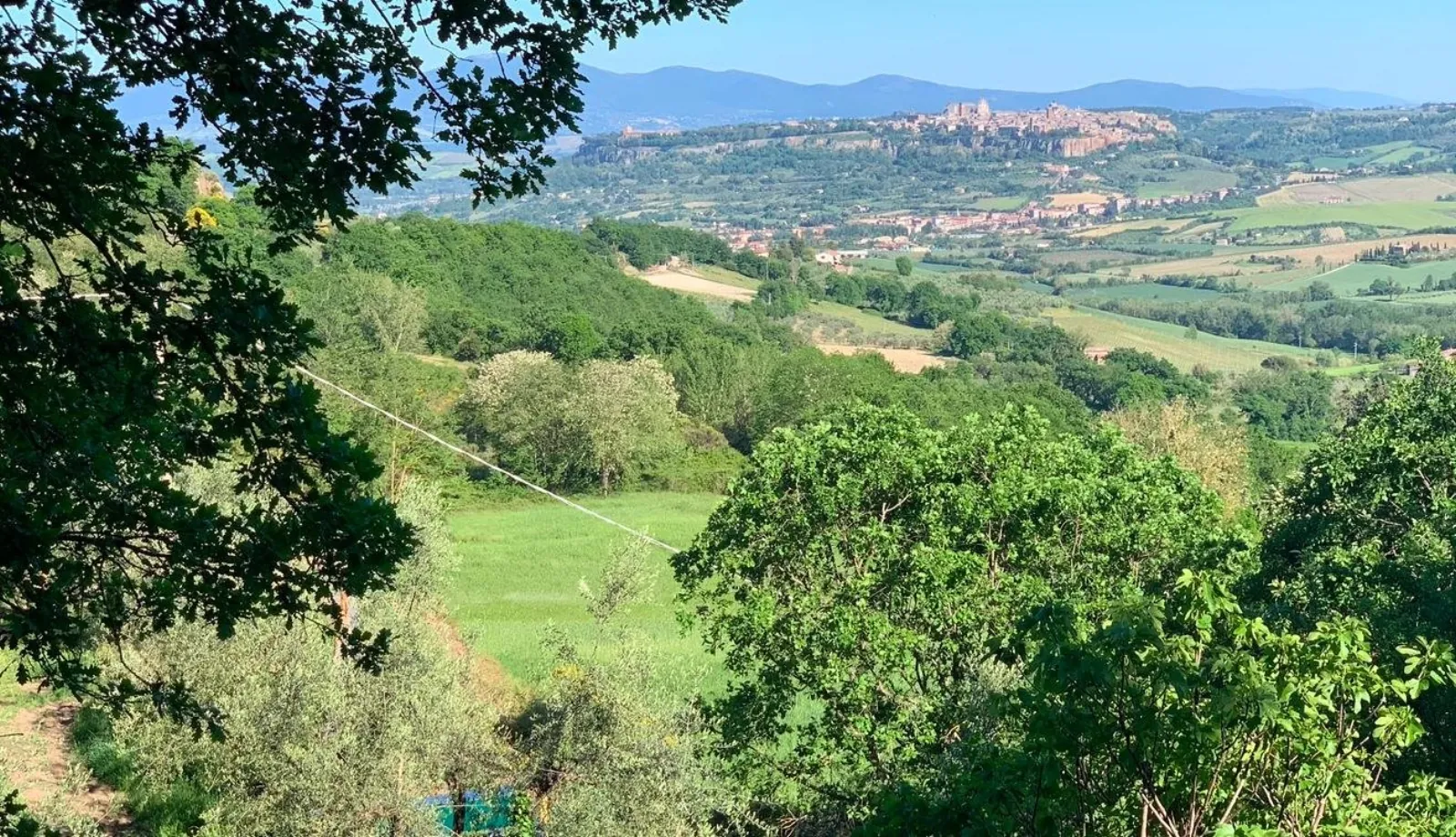 Green hillside view through tree branches toward a distant hill town and valley