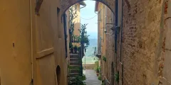 Guest photo from review