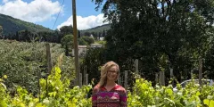 Guest photo from review