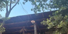 Guest photo from review
